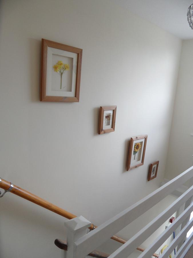 Bed and Breakfast Monterey Pines Helston Exteriér fotografie